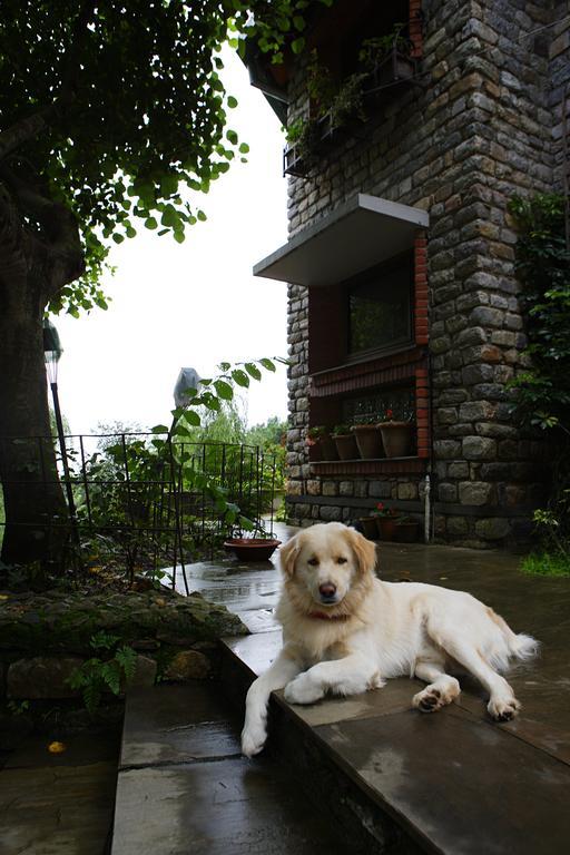 Saffronstays Himalaica, Nainital Bhowali Esterno foto