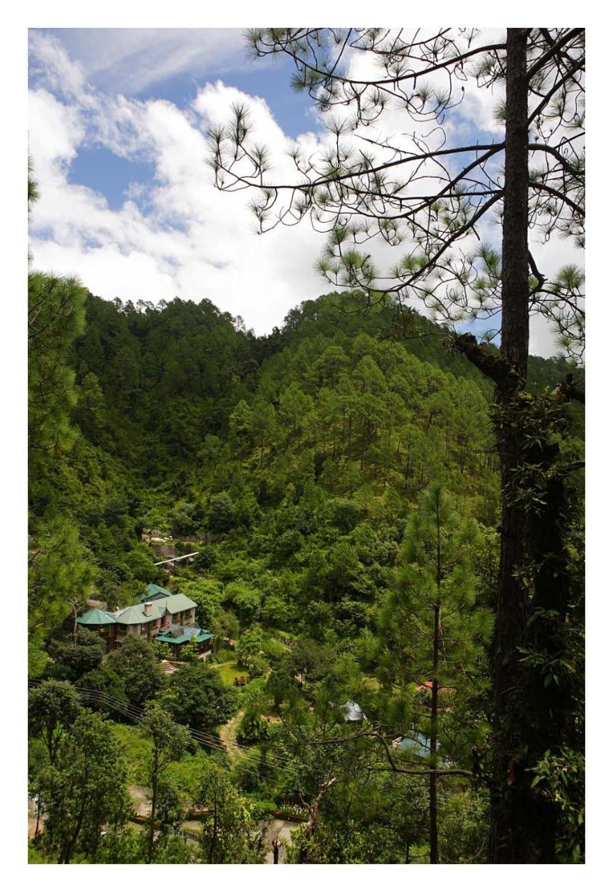 Saffronstays Himalaica, Nainital Bhowali Esterno foto